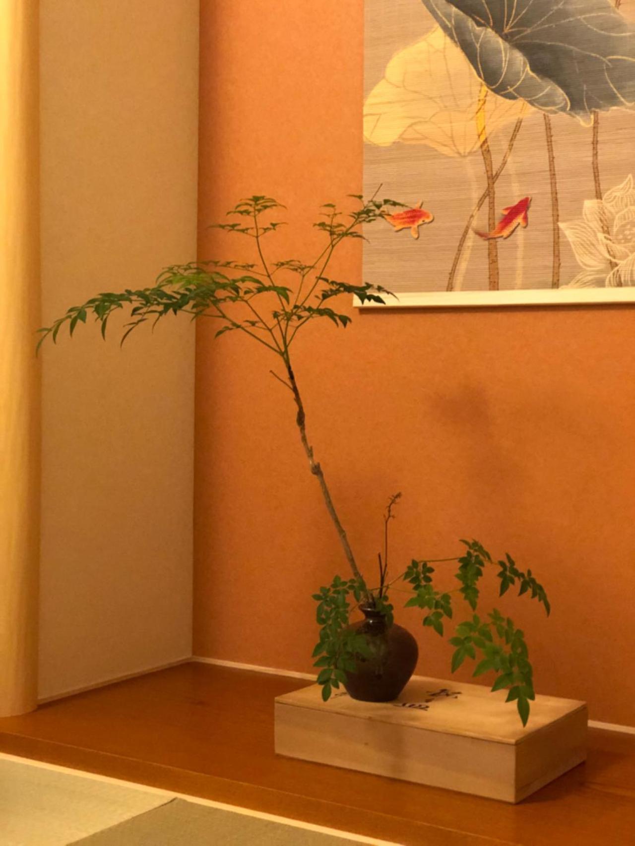 静雅の宿 Kyoto Exteriör bild