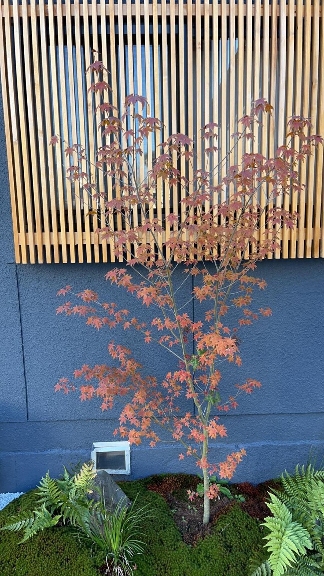 静雅の宿 Kyoto Exteriör bild