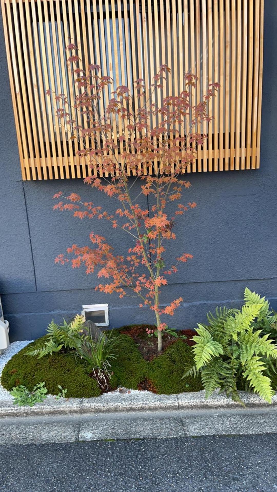 静雅の宿 Kyoto Exteriör bild